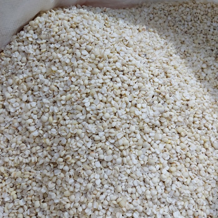 

Jali Jali Aceh (250Gr) 049