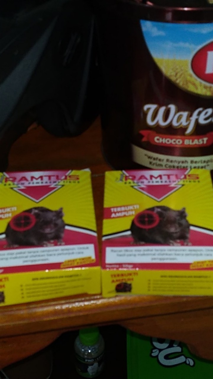 Racun Tikus Ramtus Asli Alami Mati Kering Tidak Bau Pembasmi Pengusir Tikus Super Paling Ampuh 2pack