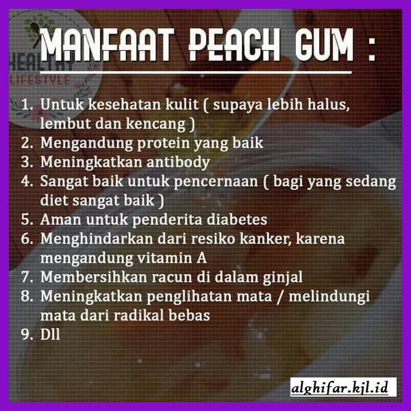 

lanoisidartdrink- peach gum grade super a+ 100gr -asliii-bngittt.