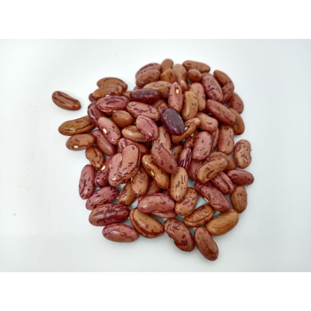 

Kacang Merah Kering / Kacang Jogo (100 gram)