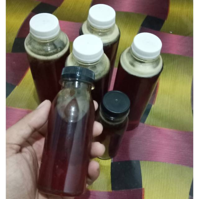 

Madu Madura Anti Corona