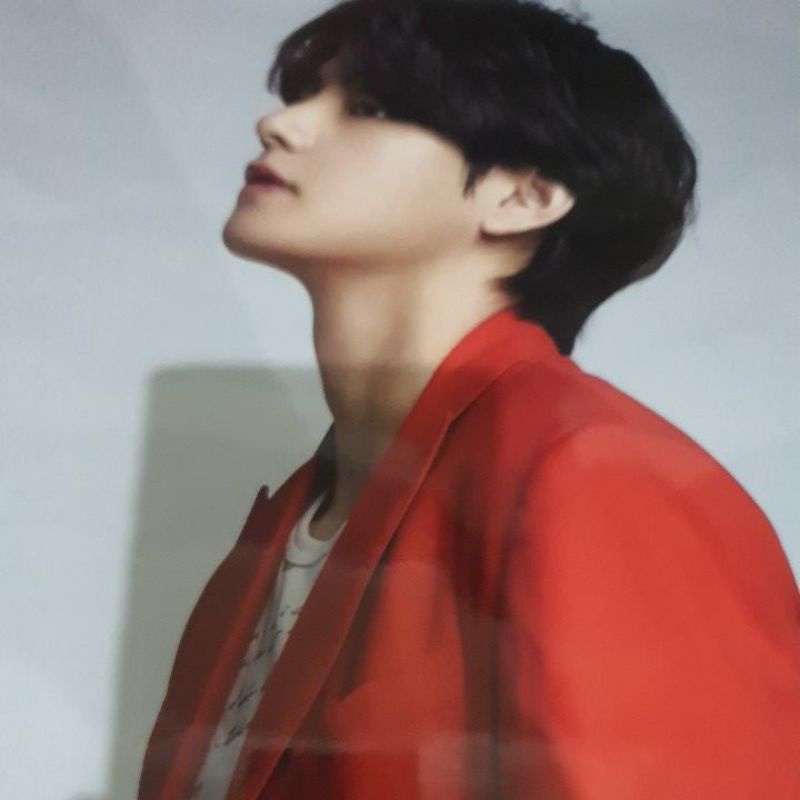 Bromide Dicon Taehyung