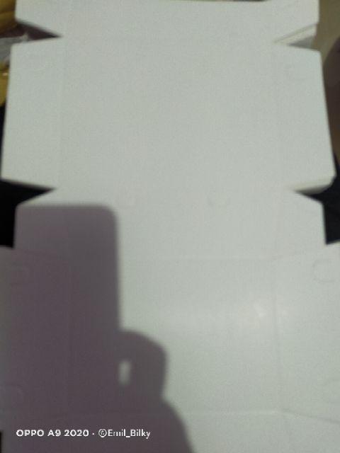 Pli-s Paper Lunch Box / Kotak Makan / Dus Makanan / Take Away Ukuran Small (s: 14x10.5x5 Cm)