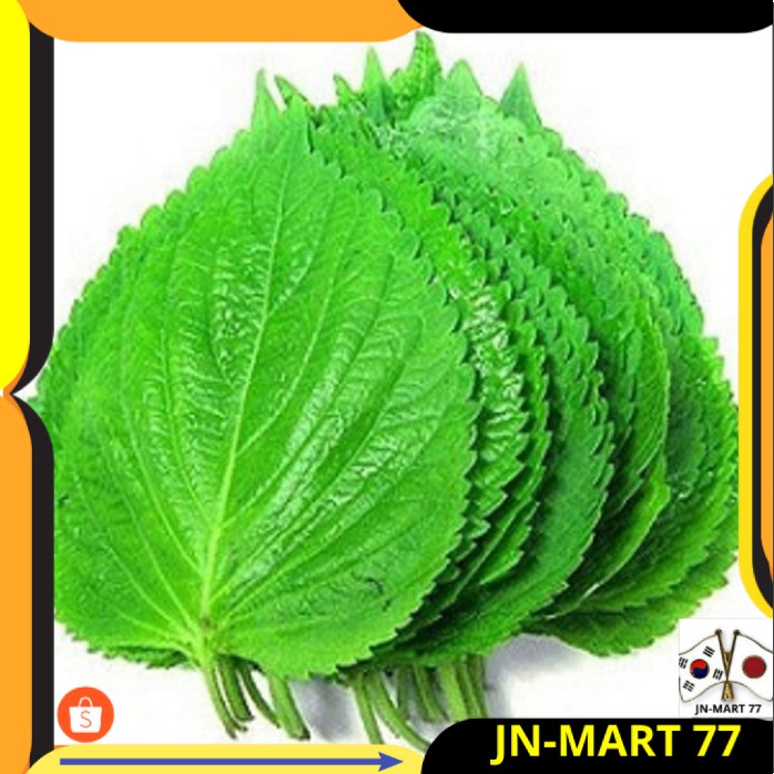 

MAKANAN KOREA/KOREAN FOOD DAUN FRESH PERILA LEAF(DAUN WIJEN MUDA) U/ BUNGKUSAN BBQ (WAJIB JNE YES)