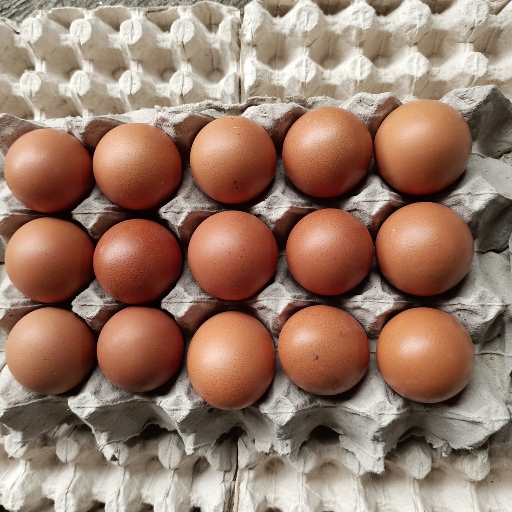 

Telor Ayam Negri Segar Isi 15 butir