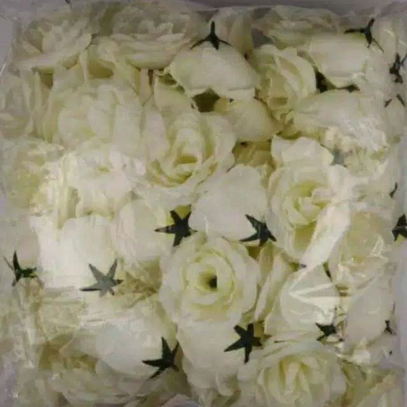 Bunga Mawar Putih ( kepala ) tanpa tangkai