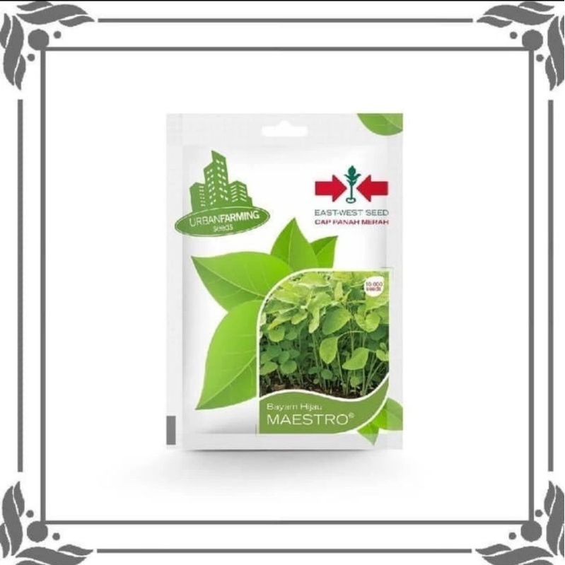 Bibit benih bayam hijau Cap Panah Merah