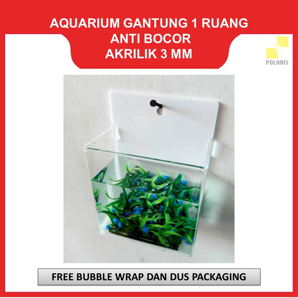 AKUARIUM CUPANG GANTUNG / AQUARIUM AKRILIK DINDING / SOLITER CUPANG AKRILIK GANTUNG