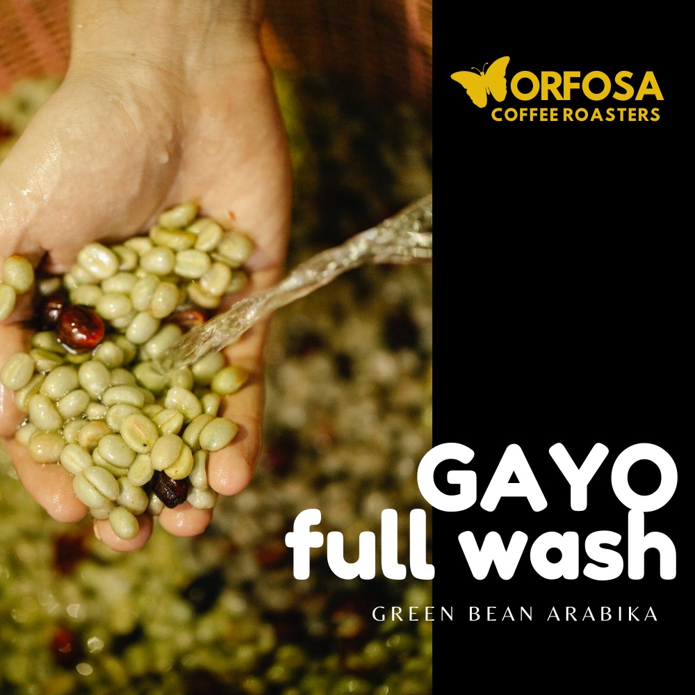 

GREEN BEAN KOPI ARABIKA GAYO FULL WASH 1KG BIJI MENTAH KOPI GAYO