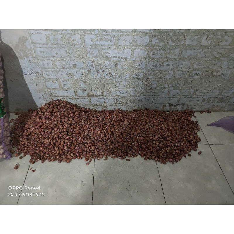

bawang merah kering hatga per kg