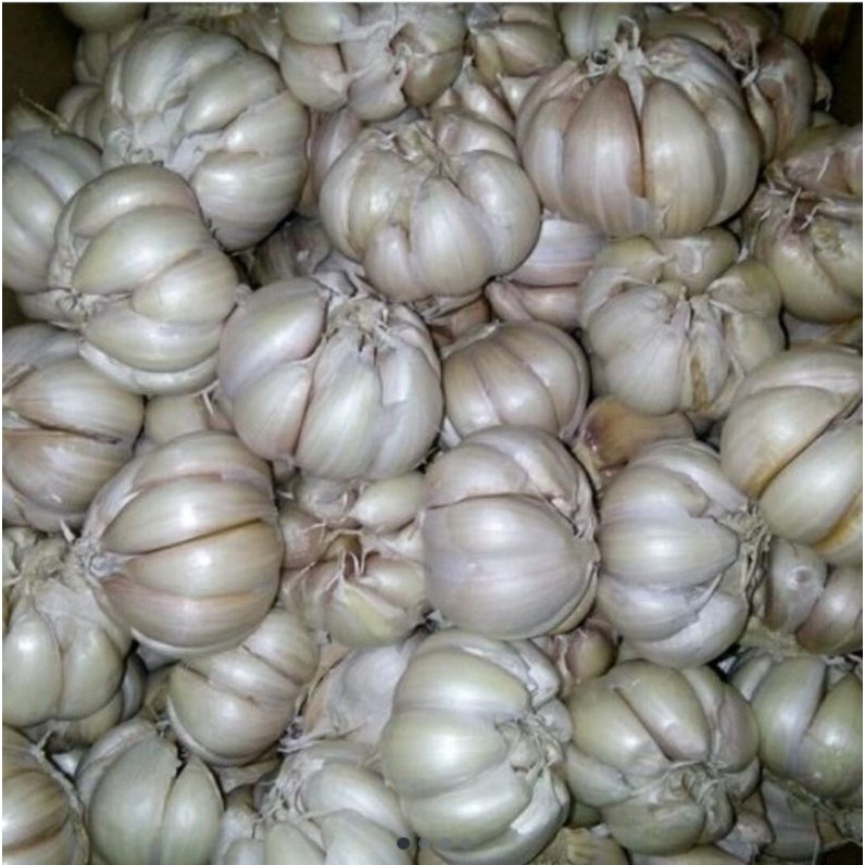 

bawang putih 250 gr