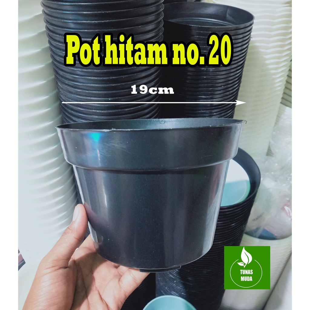 pot bunga murah /pot bunga hitam 20 /pot hitam murah