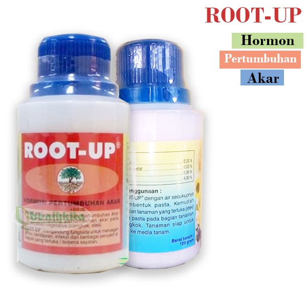 Root up wash. Тайский рут ап удобрение. Рут ап.