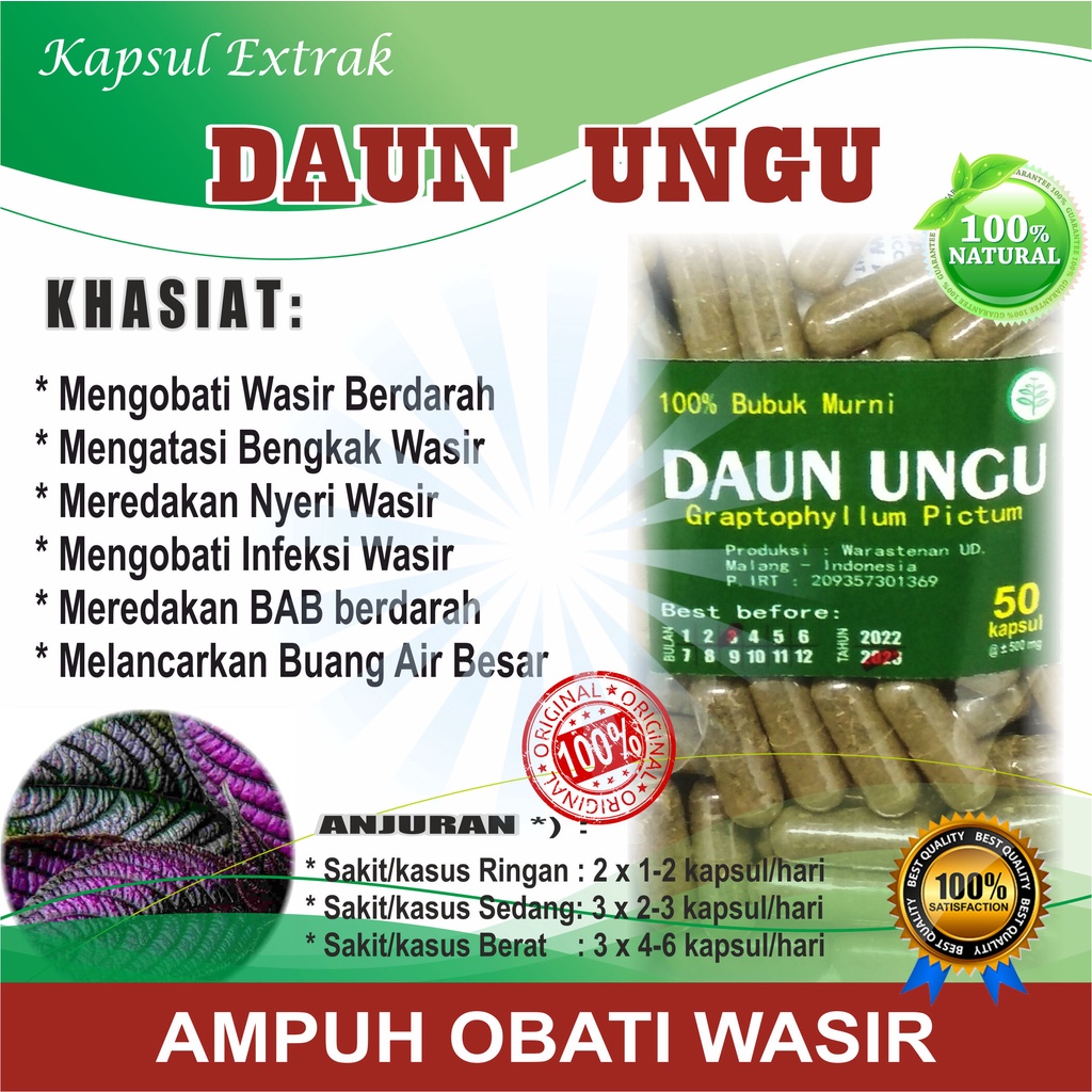 DAUN UNGU 50 KAPSUL / OBAT WASIR