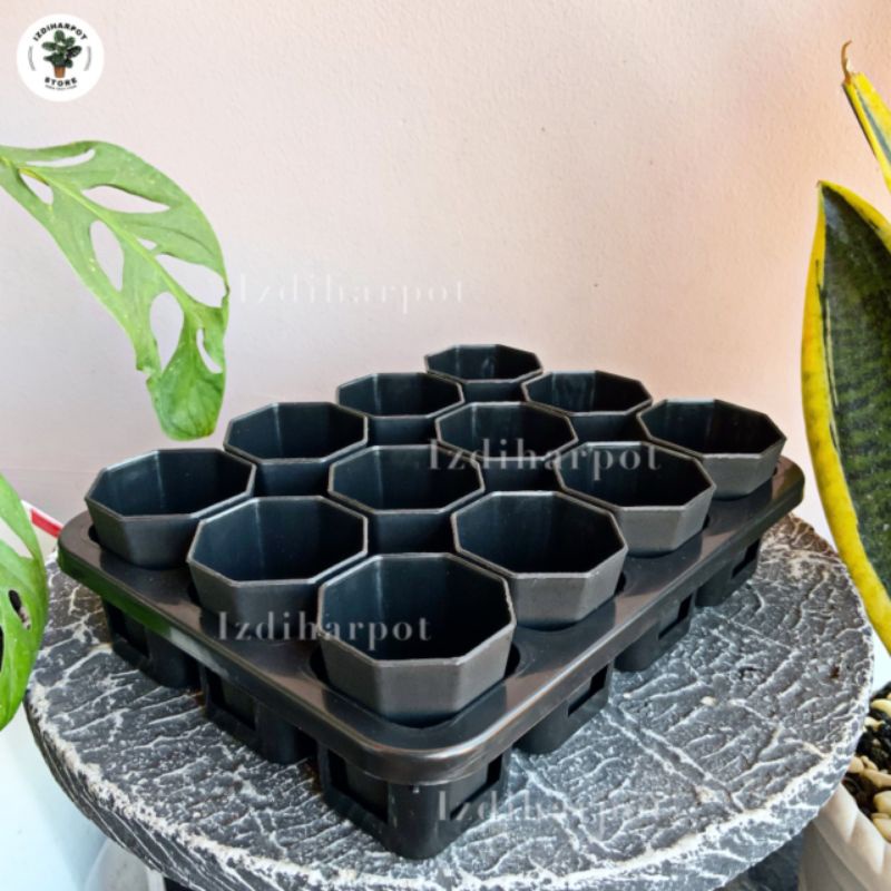 1 set Tray + POT BUNGA NKT PAGODA MINI 5CM HITAM | tray semai bibit