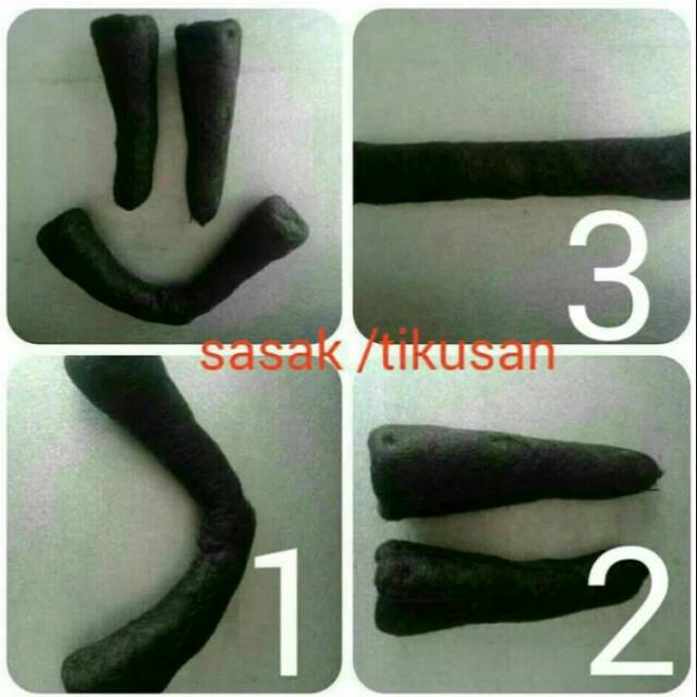 Subal sasak // tikusan