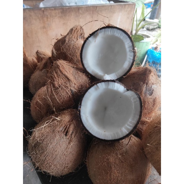 

kelapa parut dan kelapa peras