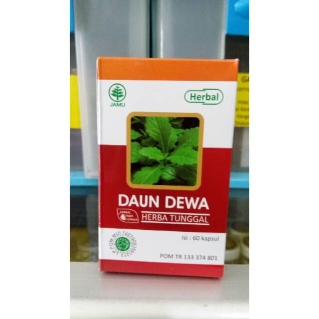 

Daun Dewa HIU 60 kapls