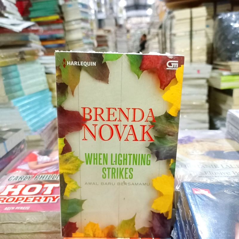 OBRAL SUPER MURAH BUKU NOVEL TERJEMAHAN HARLEQUIN - HERLEQUIN / NOVEL DEWASA / NOVEL REMAJA / ORIGINAL #26D-When Lightning Strik