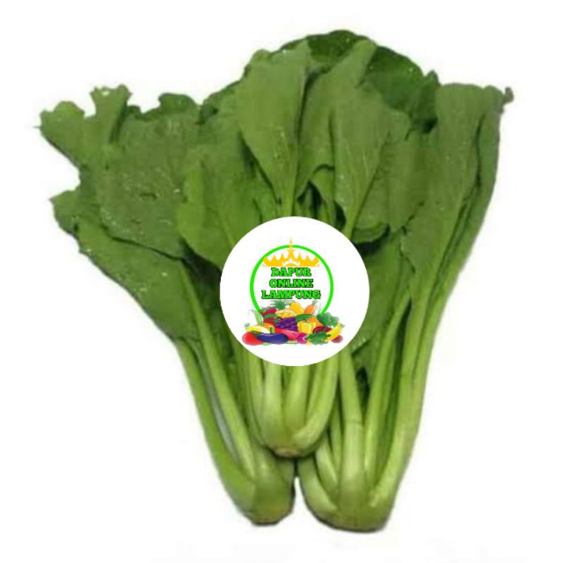 

SAWI HIJAU / CAISIM / MUSTARD GREENS / SAYUR SAYURAN SEGAR / PER IKAT Bandar Lampung