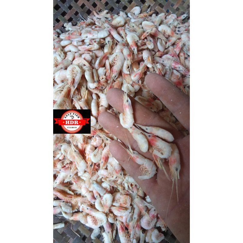 

udang ebi kering presh 1kg harga termurah
