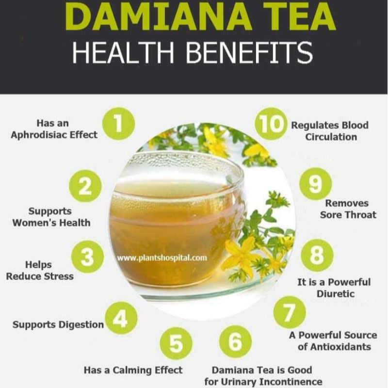 DAMIANA TEA : TEH HERBAL DAUN DAMIANA ISI 30 TEA BAG