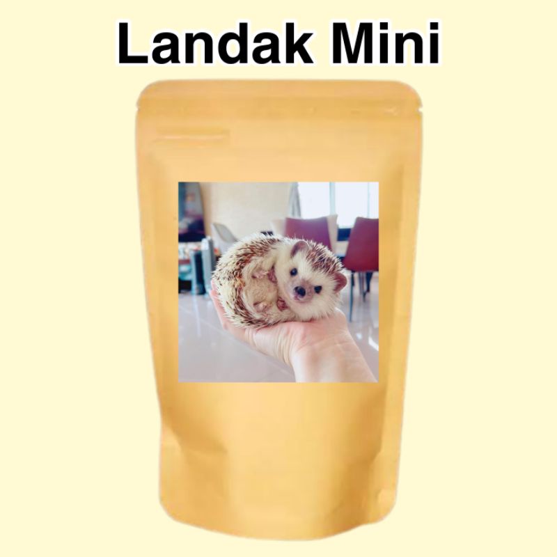 Mainan Anak Edukasi Landak Mini grooming hewan peliharaan