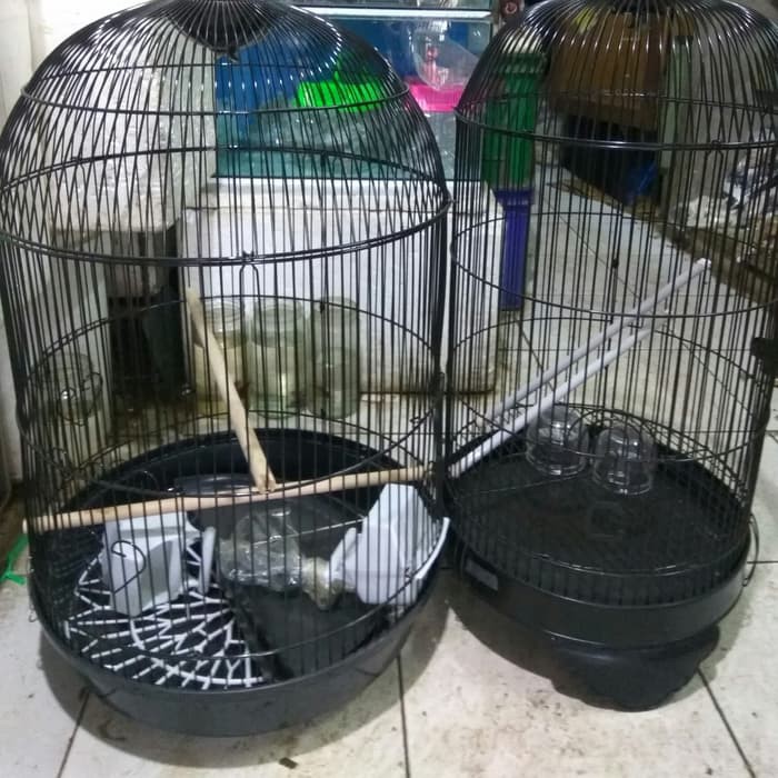 Unik Kandang Burung Sangkar Burung Lovebird Jalak Beo Nuri Ukuran