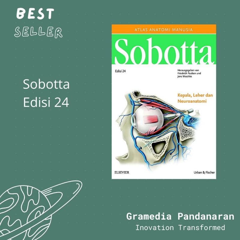 sobotta edisi 24