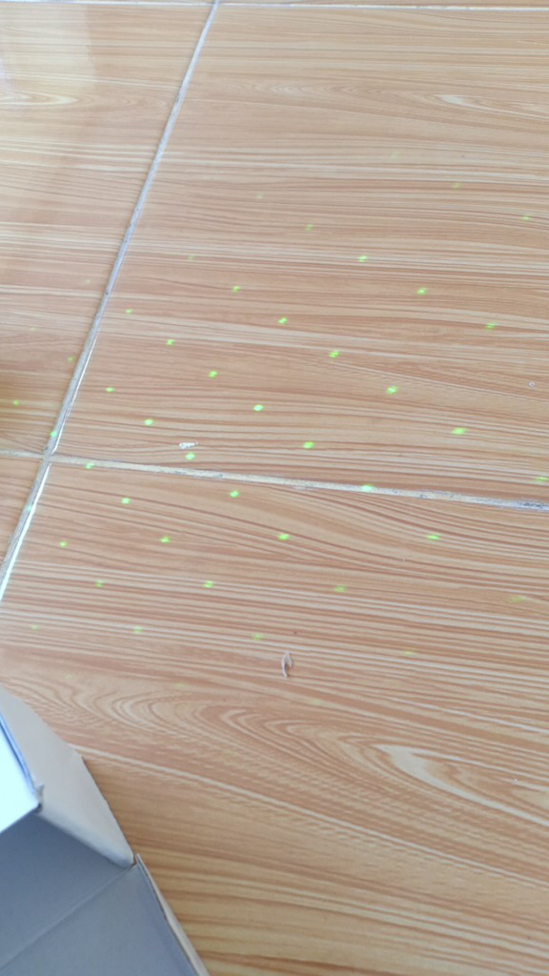 Laser 303 / Laser Presentase / Laser Hijau / Green Laser 303