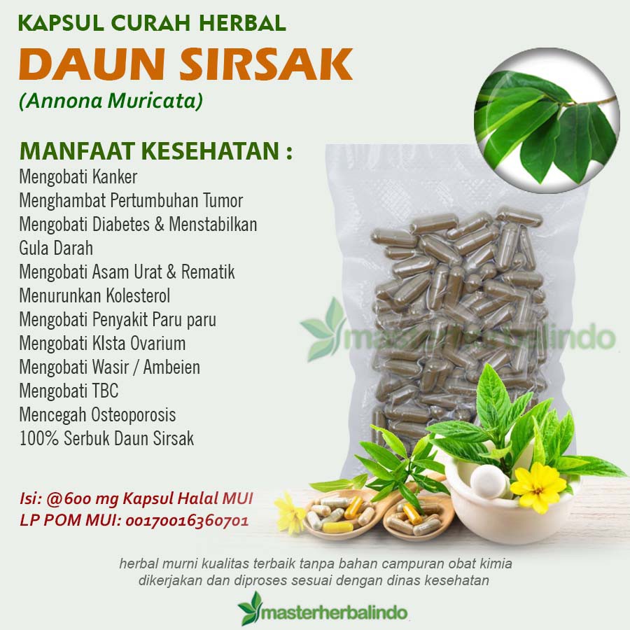 

Kapsul Curah Herbal DAUN SIRSAK 200x600 mg Kanker Hipertensi Asma Liver
