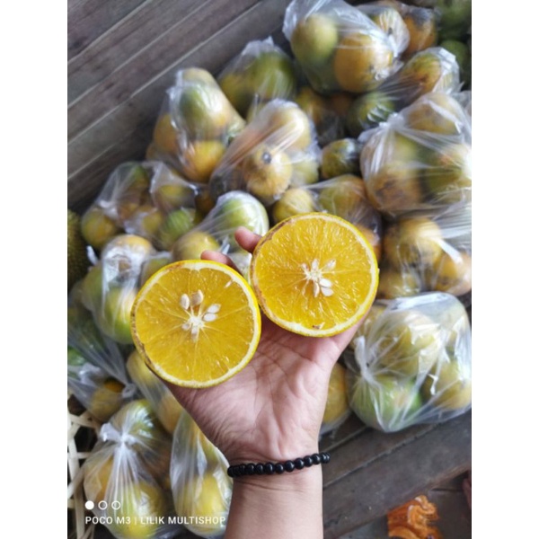 

JERUK IRIS BABY MALANG