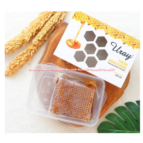 Uray Comb Honey 250gr Honey Comb Madu Sarang Madu 250 gram Pakai Box Urai Combs