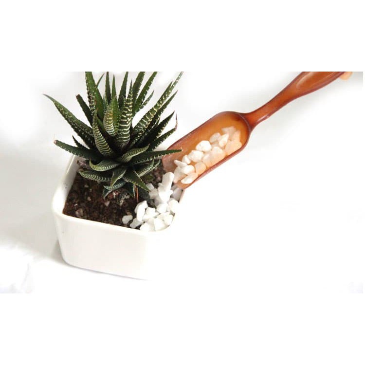 Mini Garden Scoop