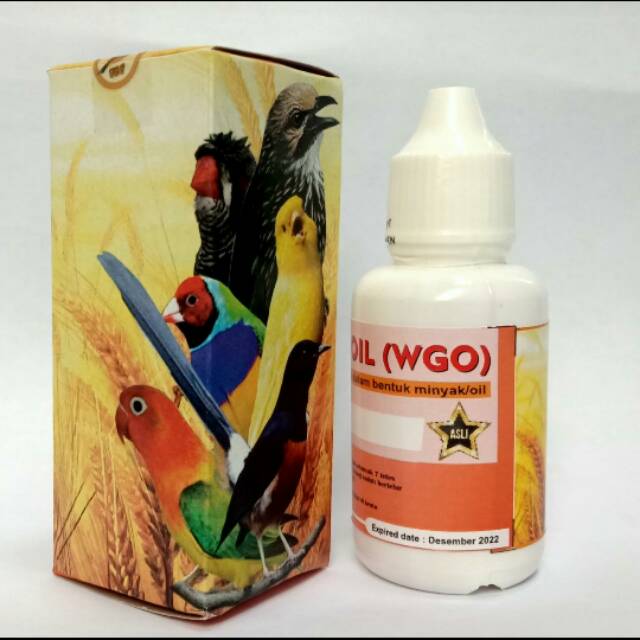 WGO VITAMIN BURUNG CEPAT BERTELUR