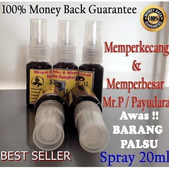MINYAK BULUS ASLI PAPUA + LINTAH HITAM ASLI + DAUN BUNGKUS ASLI PAPUA!