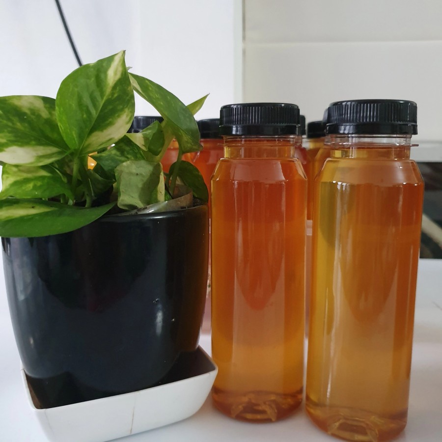 

Minyak kelapa murni"Tanak/minyak Klentik/VCO asli dari Padang