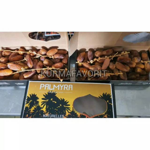 

Kurma palmyra