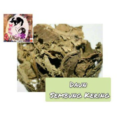 

500gr Daun sembung kering