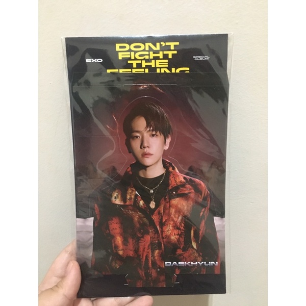 Hologram standee only Baekhyun exo dftf