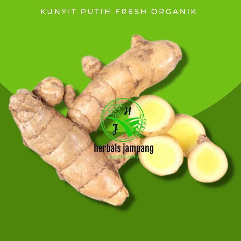 

kunyit putih segar organik lebih aman dan sehat untuk di konsumsi Kunyit Putih | Kunyit Putih Segar |Temu Putih segar | Obat Herbal | Obat | Obat Kanker|Kesehatan UNYIT PUTIH/TEMU (CURCUMA ZEDOARIA)