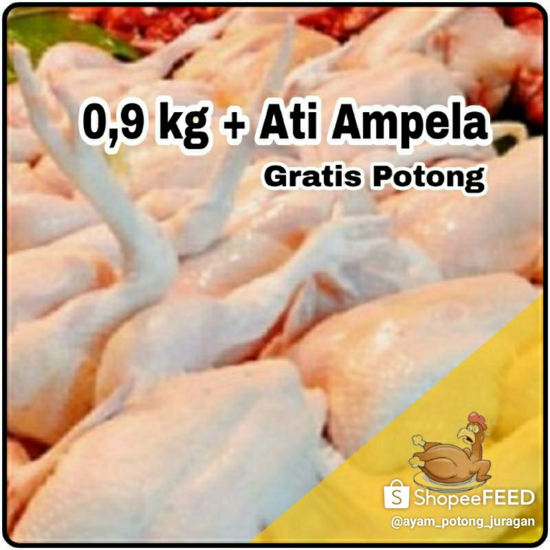 

Ayam potong 0,7 Kg . 0,8 Kg. 0,9 Kg. 1Kg menu pecel lele / pecel ayam Dll. berikut isi Ati Ampela ayam utuh / ayam potong / ayam segar / ayam pecel lele / ayam bakar / ayam geprek / ayam fresh / ayam murah