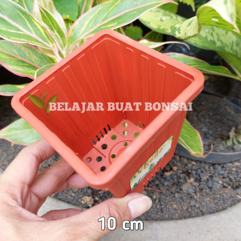 Pot Kotak YPK 10 Cm Pot Tanaman