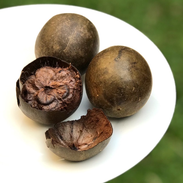 

LUO HAN GUO buah kering (per biji)