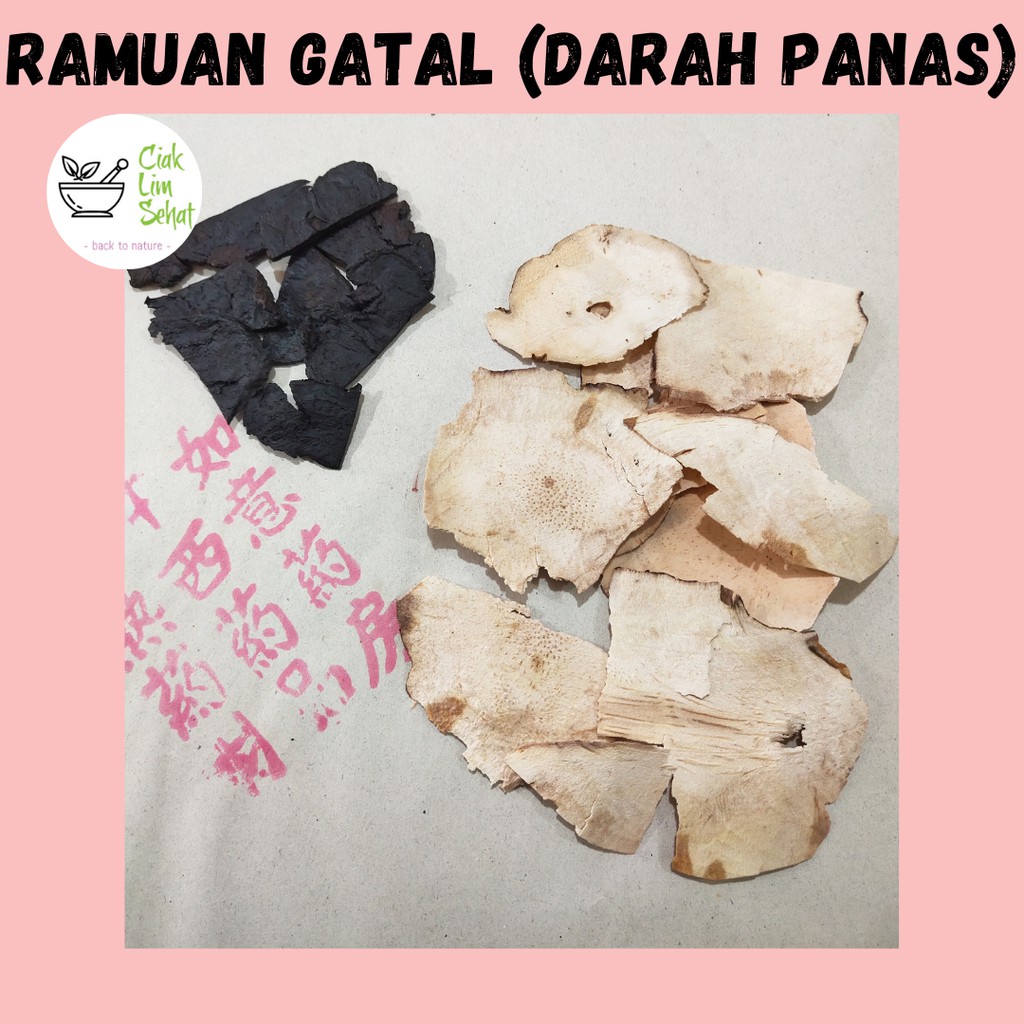 

Ramuan Herbal untuk Gatal karena Darah Panas / Sen Ti Tu Fu