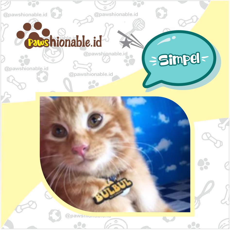 K21 - Kalung Custom Nama Kucing Anjing Aksessoris Hewan PU Leather/Kulit Sintetis