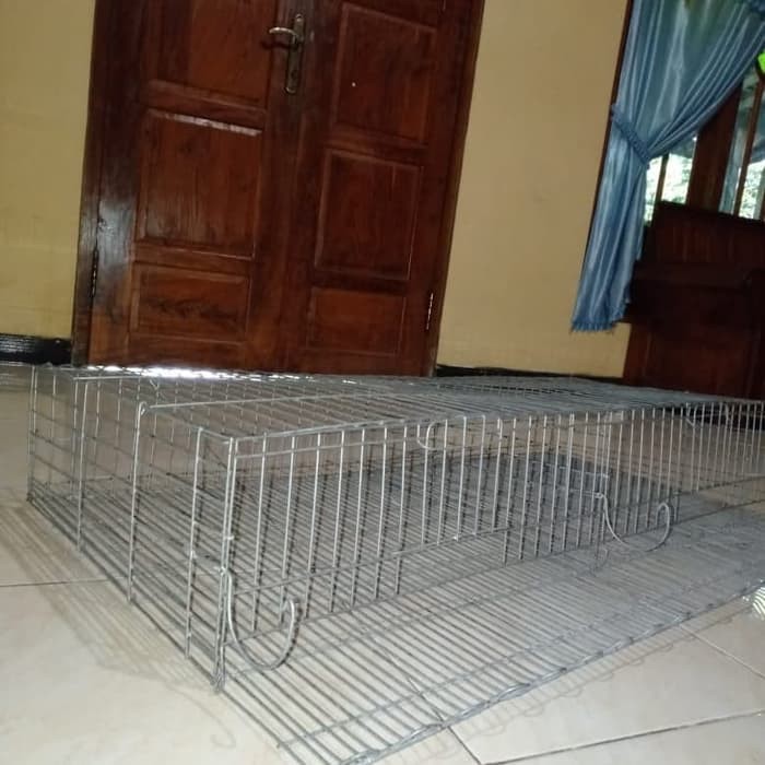 suplayer andang puyuh dari kawat galvanis