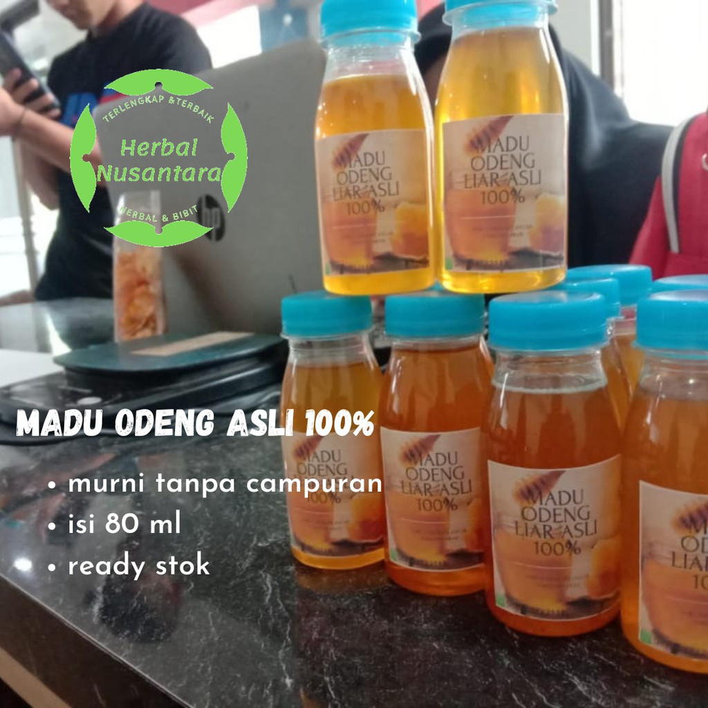 

Madu odeng asli 100% murni - madu lebah hutan tanpa campuran