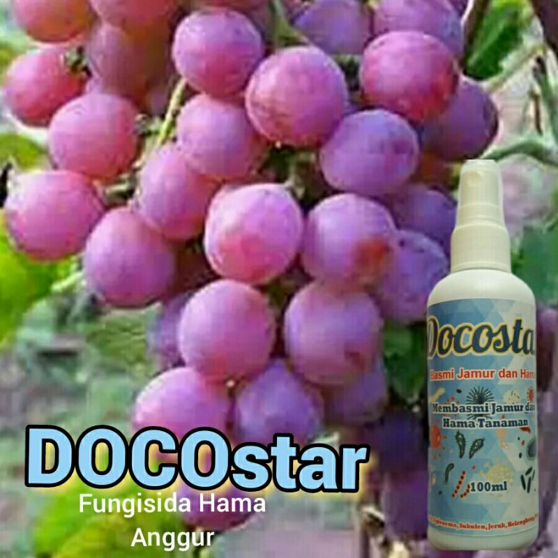 Fungisida Tanaman Anggur Spray Instan