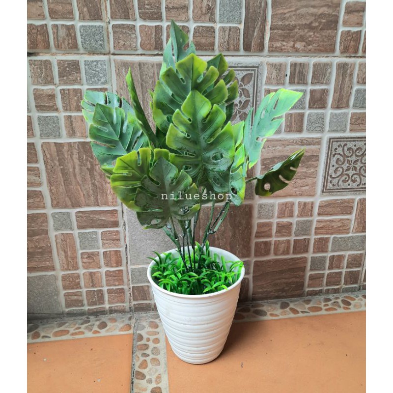 TANAMAN JANDA BOLONG ARTIFICIAL /DEKORASI RUMAH/BUNGA PLASTIK